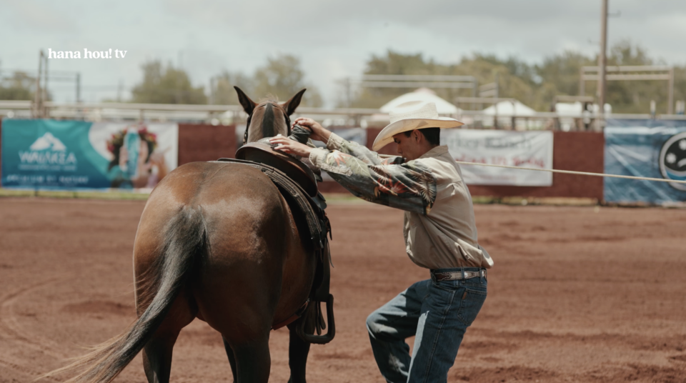 hawaiian paniolo about to mount a brown horse in the ring